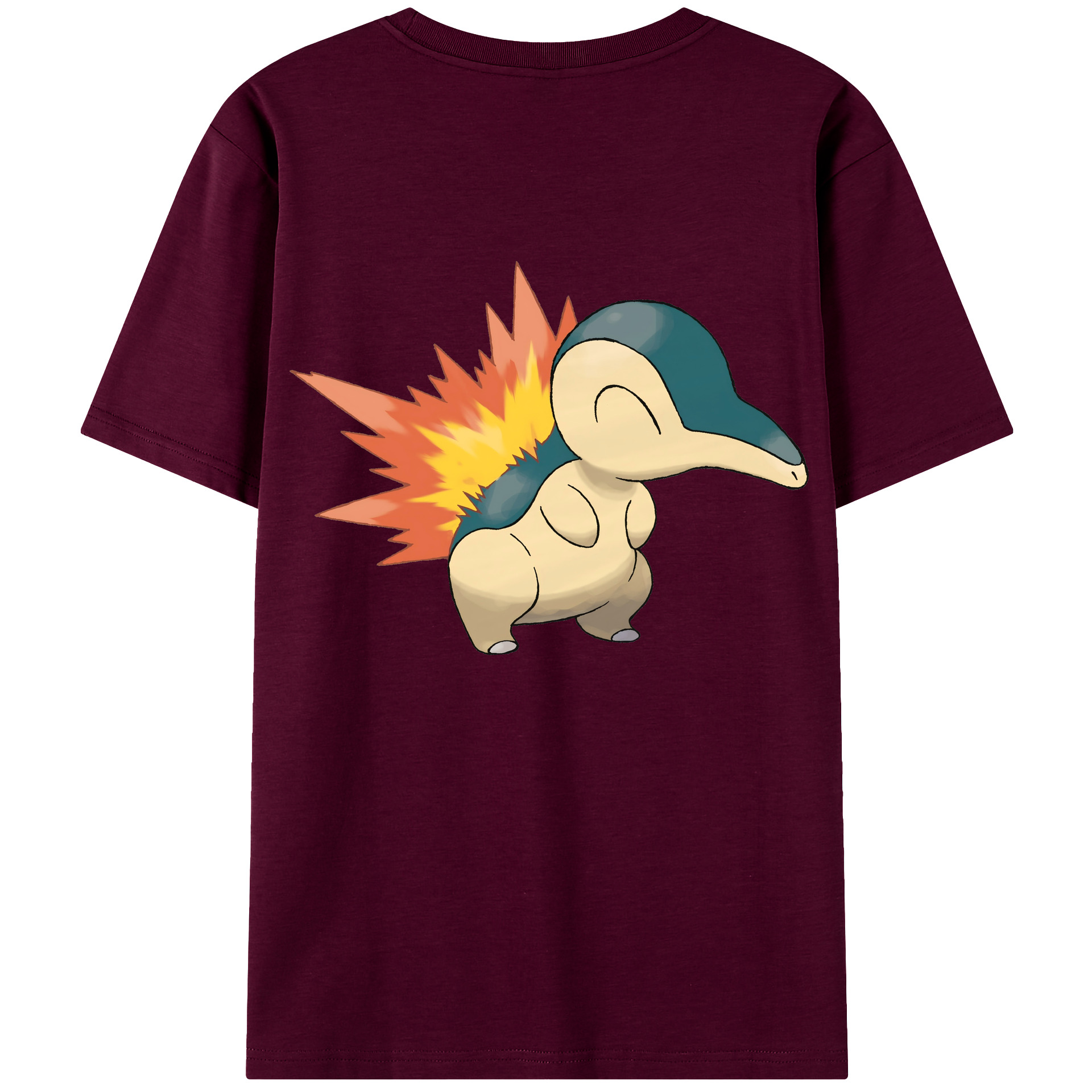 （画像用） ポケットモンスター Pokémon レディース半袖Tシャツ(バックプリント)